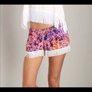 Fringe Festival shorts